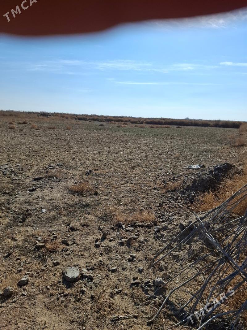 satlyk mellek yer - Mary - img 2