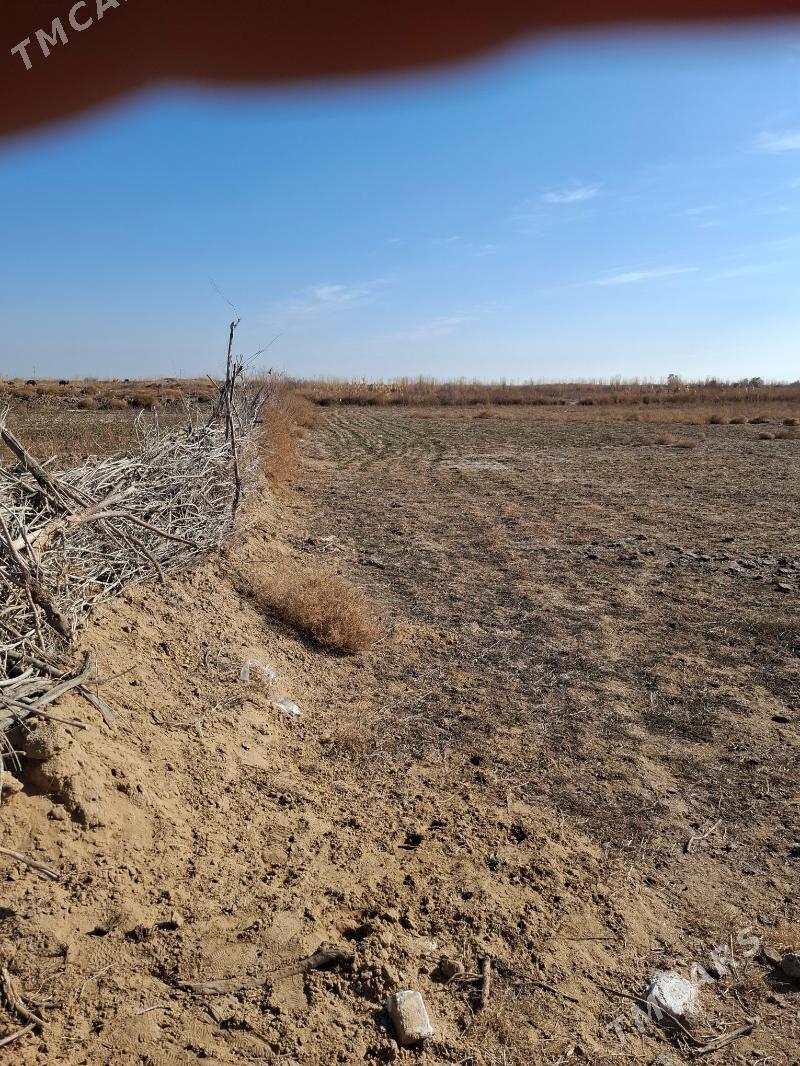 satlyk mellek yer - Mary - img 4