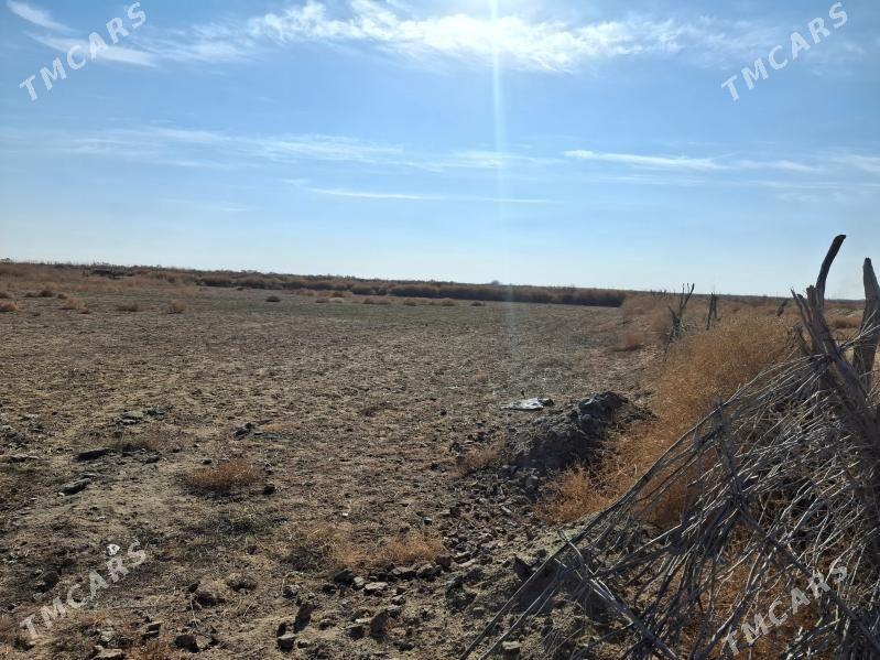 satlyk mellek yer - Mary - img 5