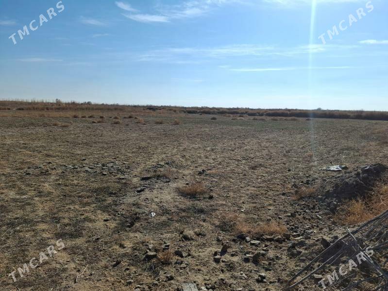 satlyk mellek yer - Mary - img 6