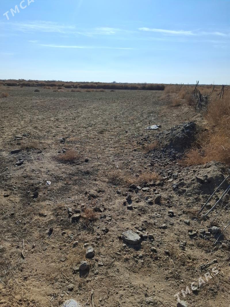 satlyk mellek yer - Mary - img 8