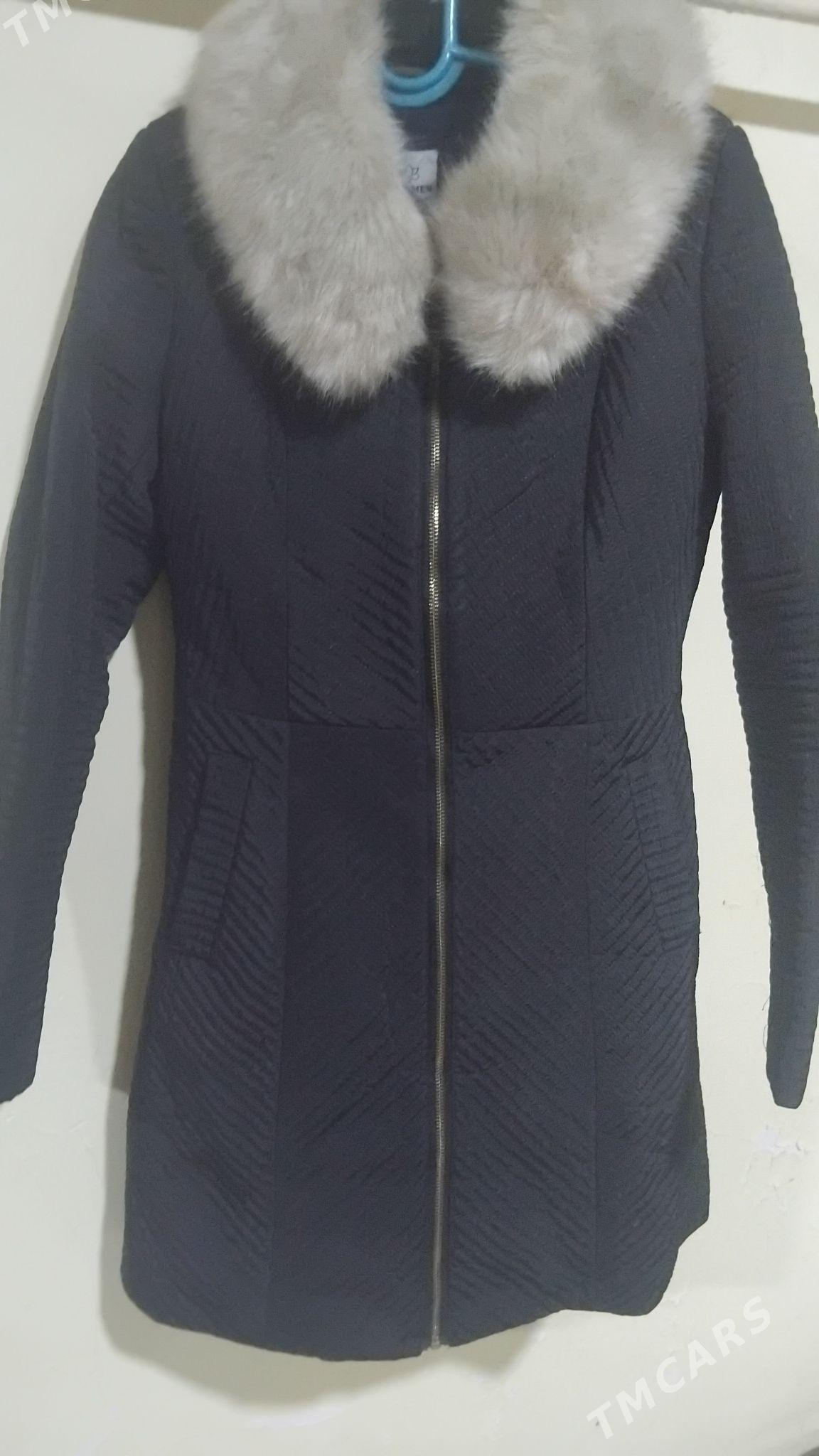 zempir - Анев - img 2