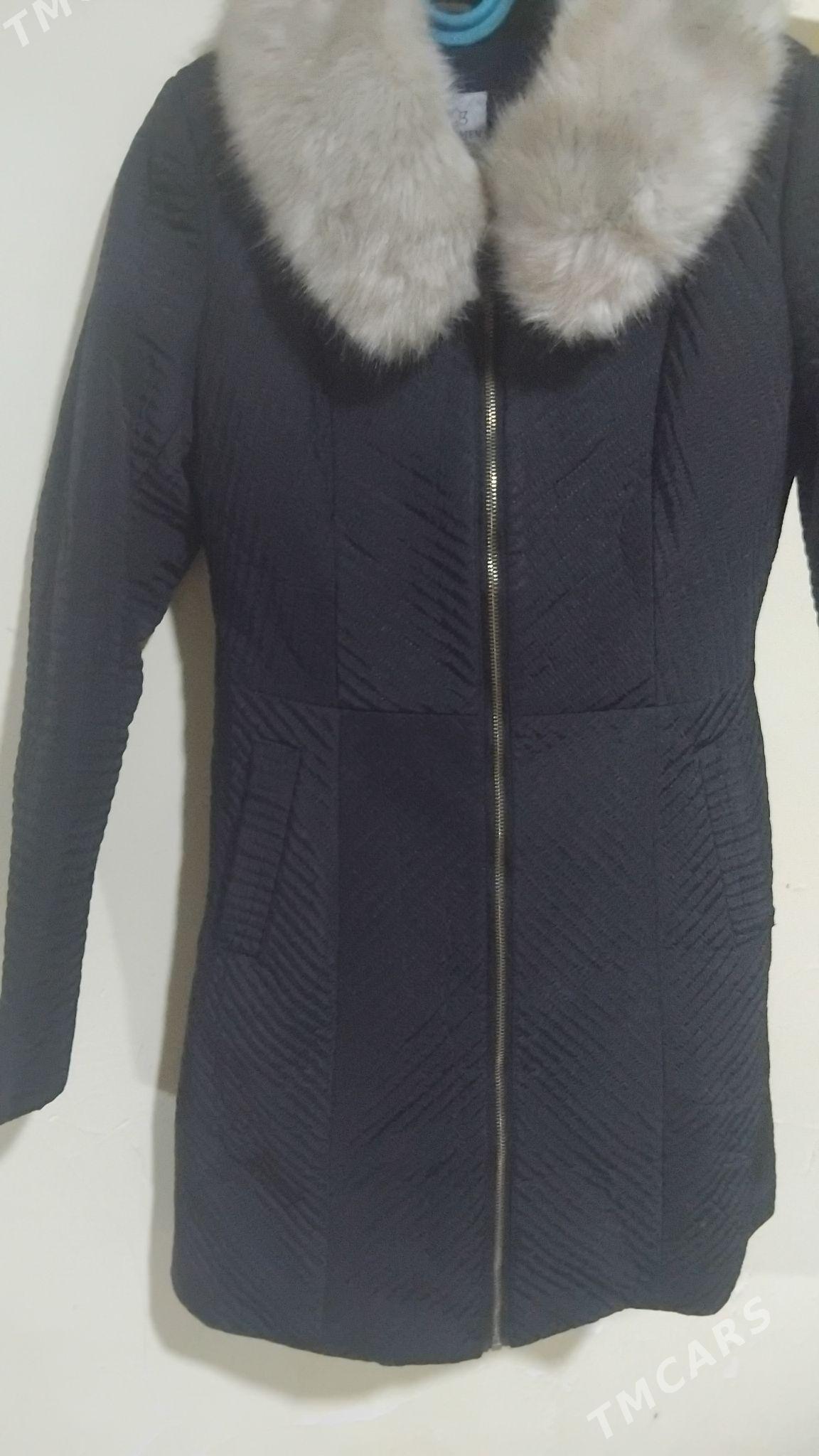 zempir - Анев - img 3