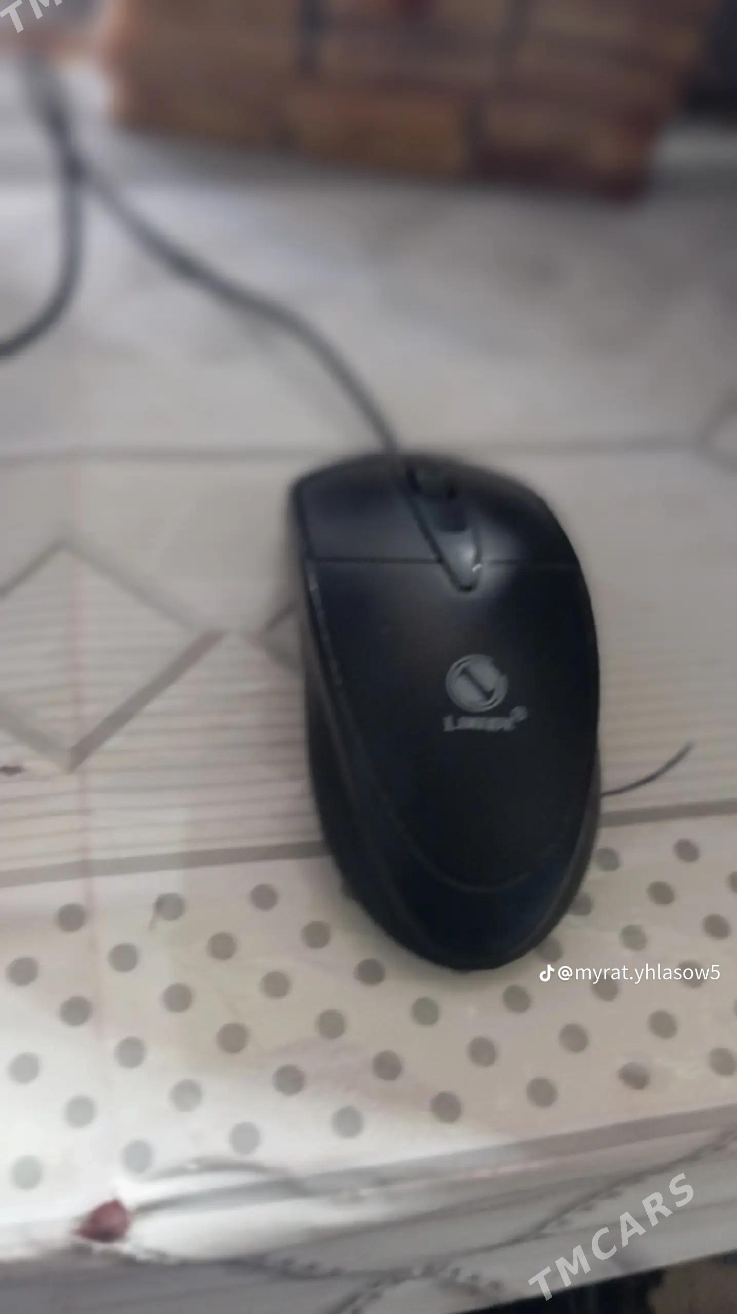 Kopyuter - Чоганлы - img 3