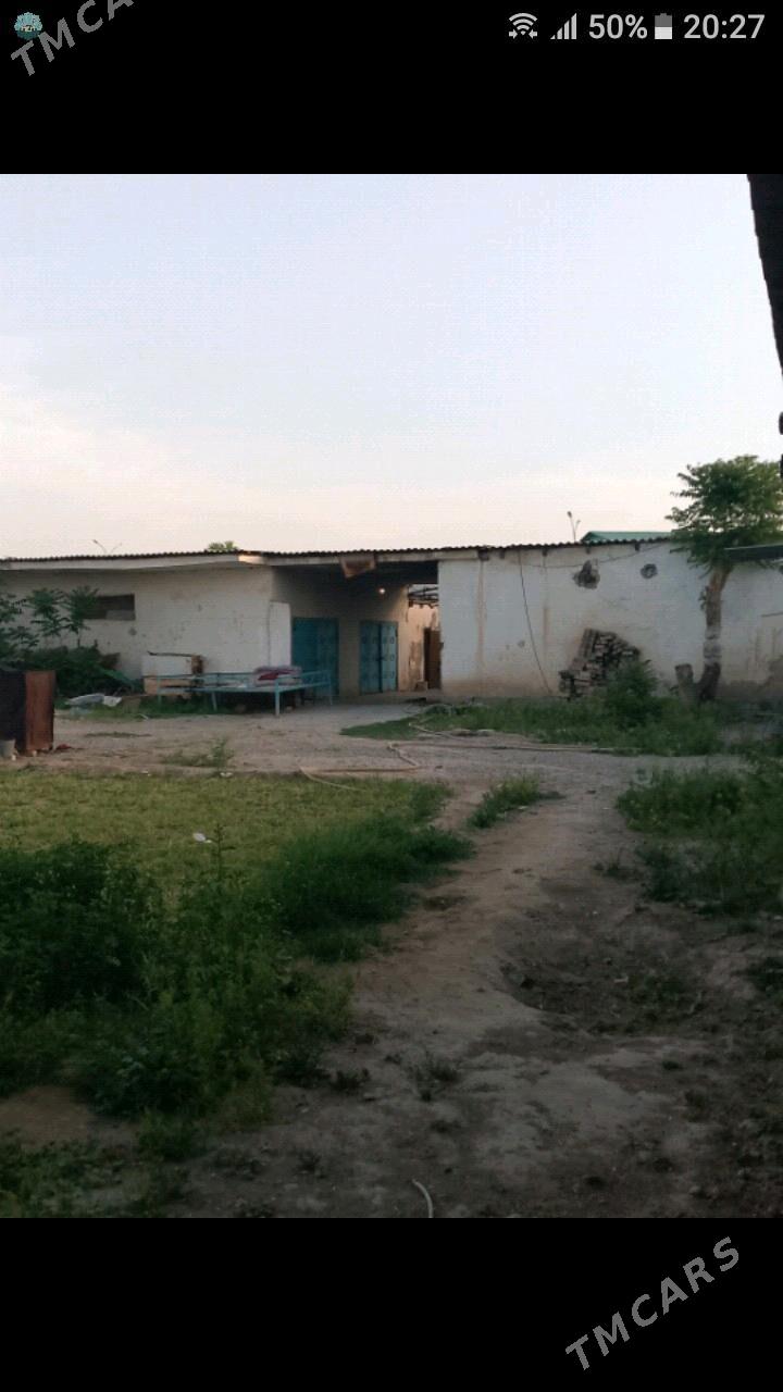 Satlyk mellek 6 sotok - Бузмеин - img 1