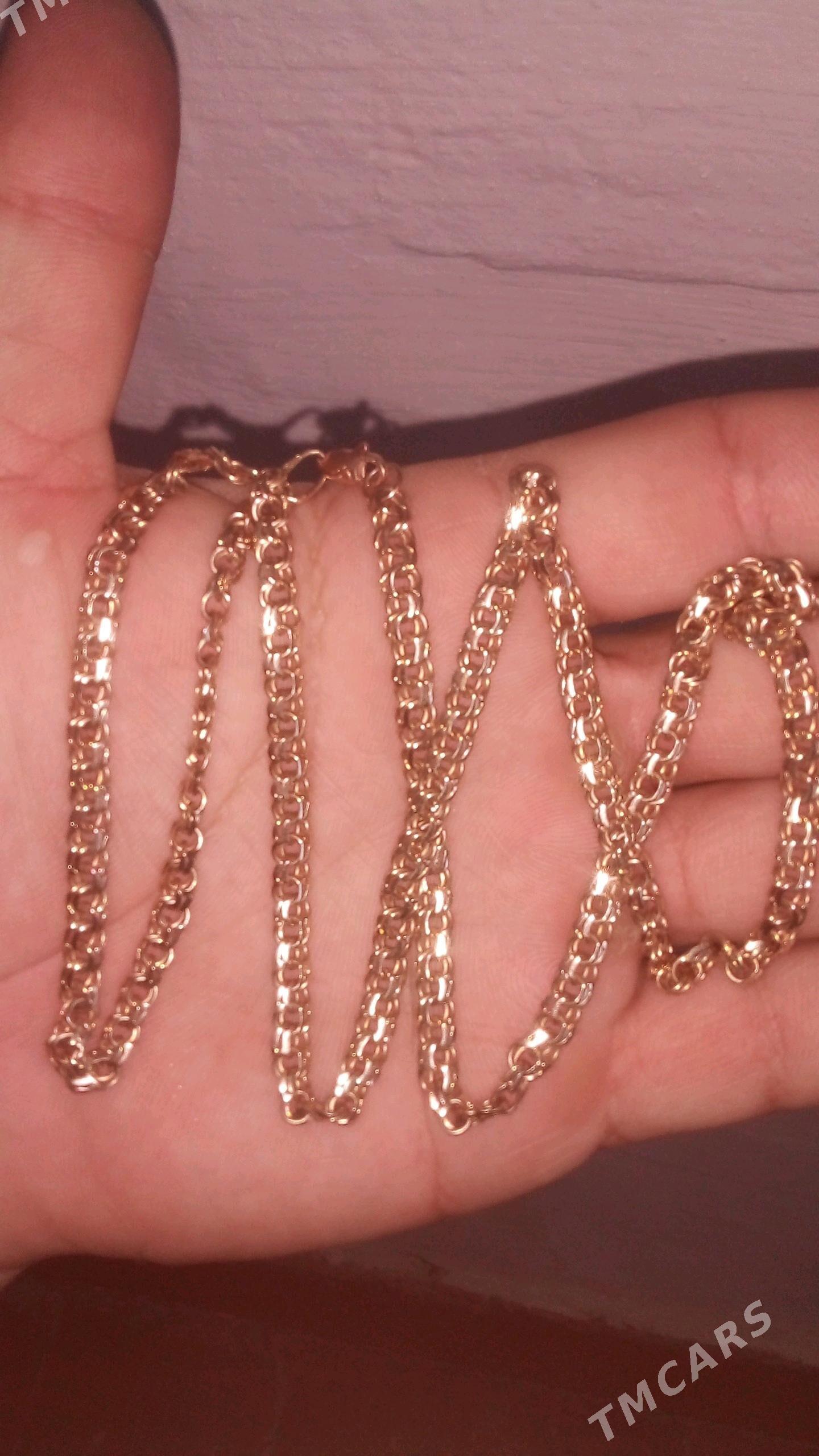 30 gr kardinal - Bäherden - img 3