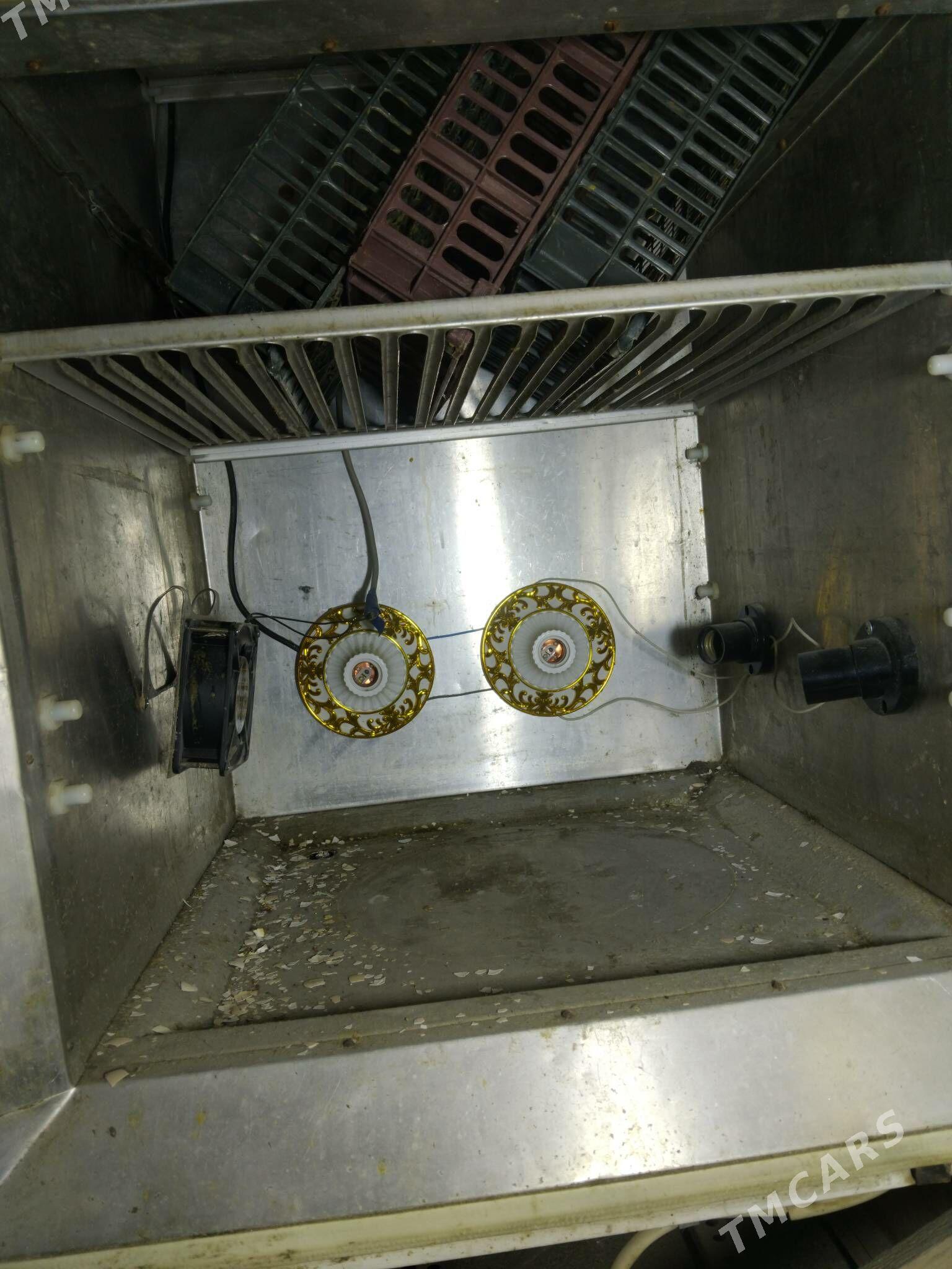 enkowator - Ýaşlyk - img 4