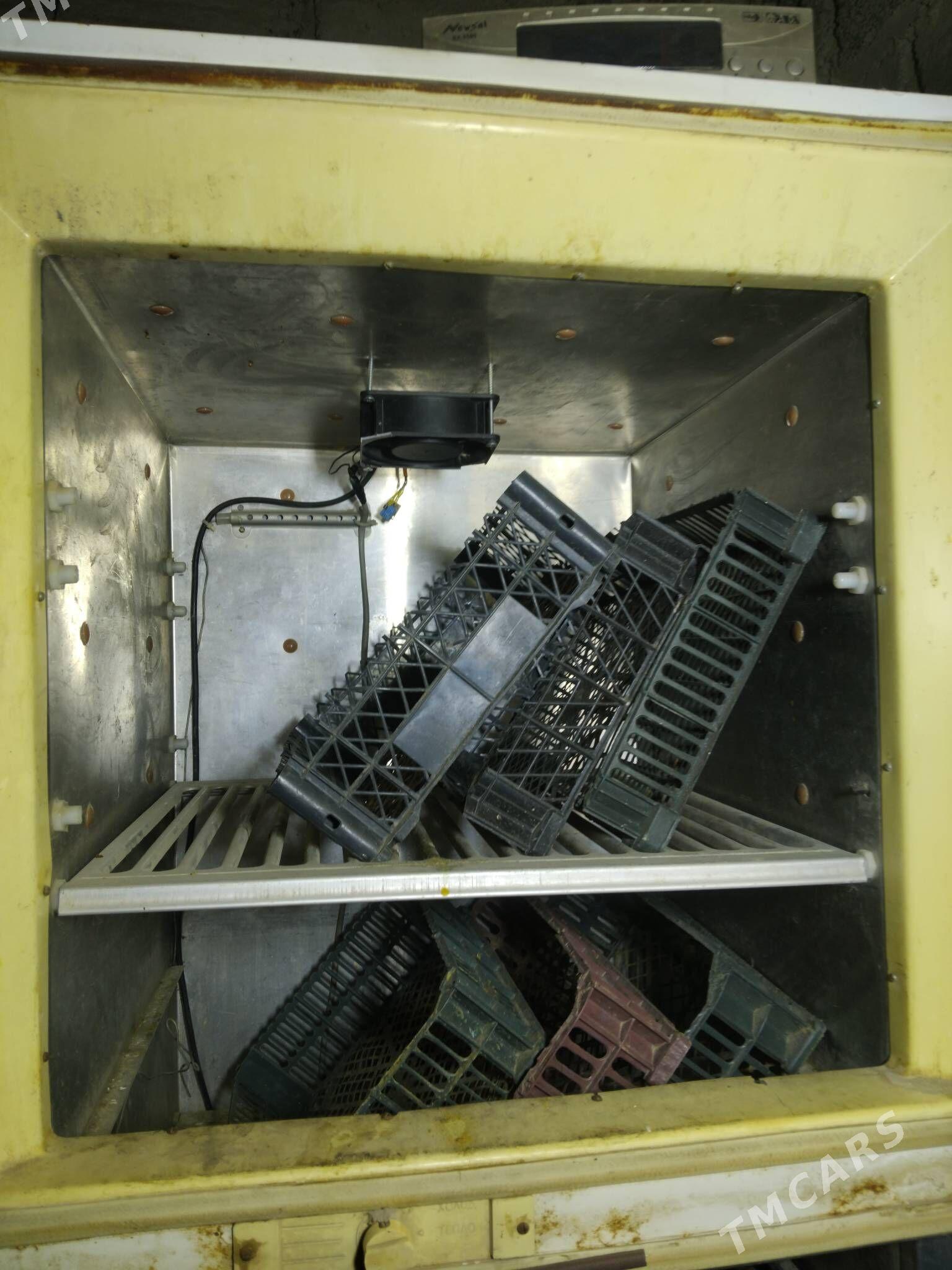 enkowator - Ýaşlyk - img 2