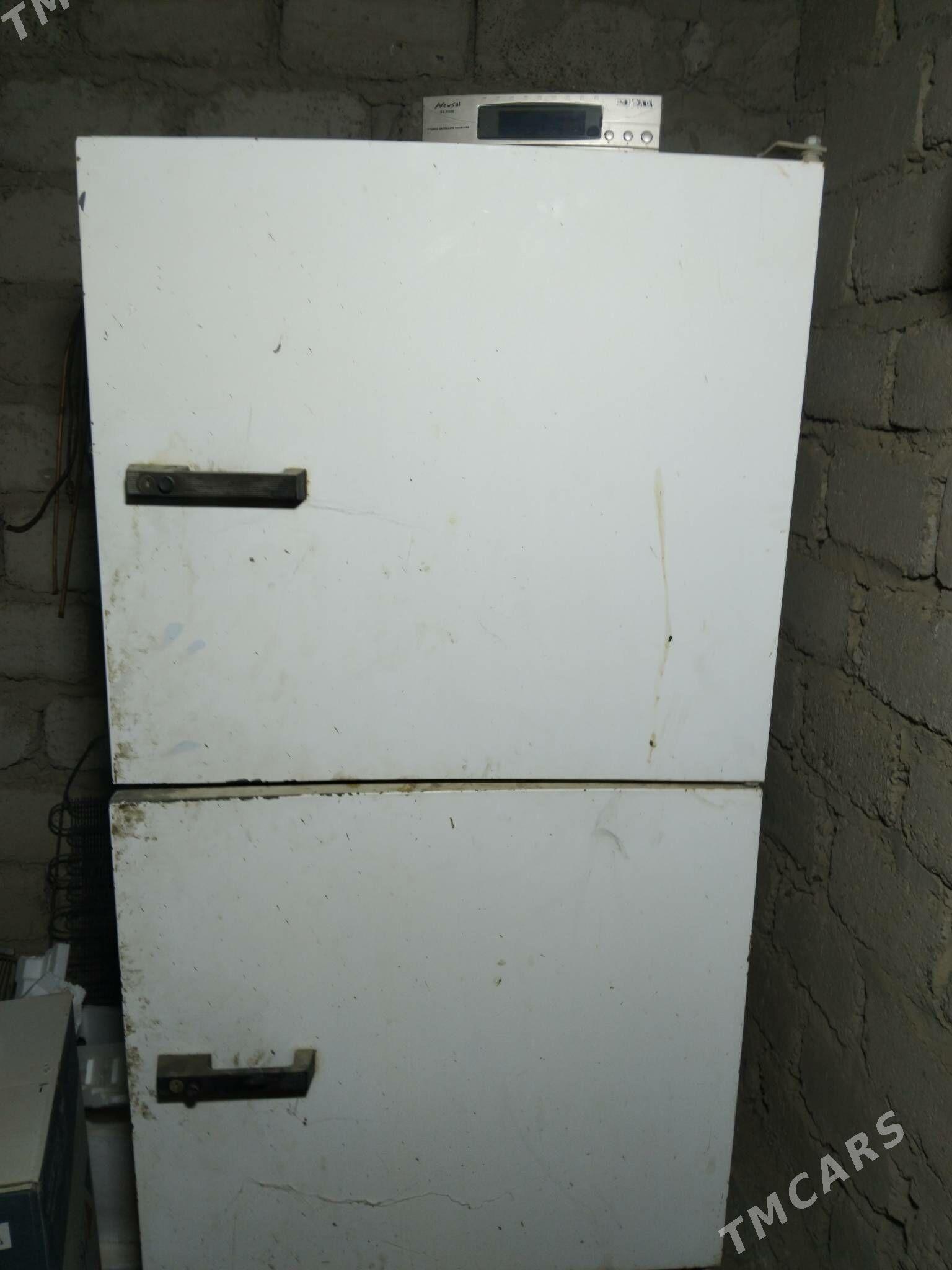 enkowator - Ýaşlyk - img 5