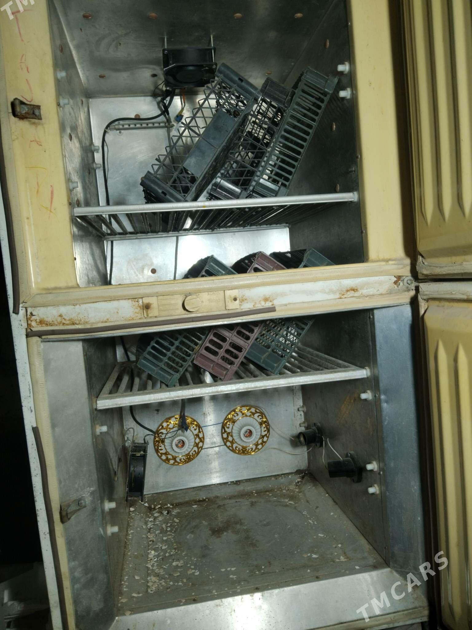 enkowator - Ýaşlyk - img 3