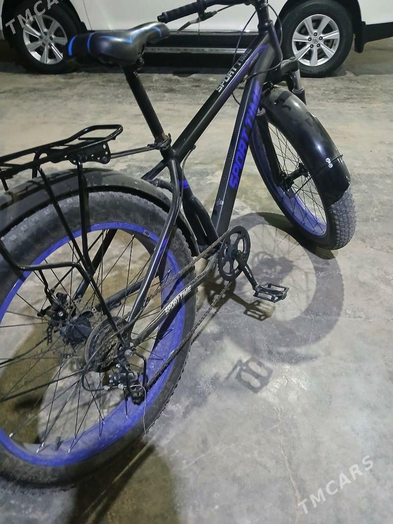 welisaped - Сакарчага - img 2