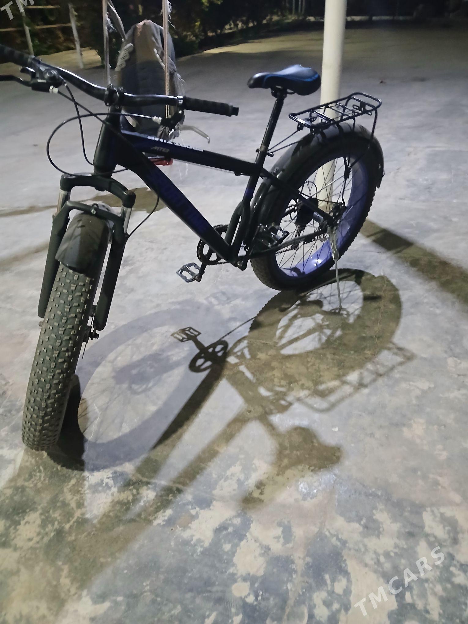 welisaped - Сакарчага - img 3