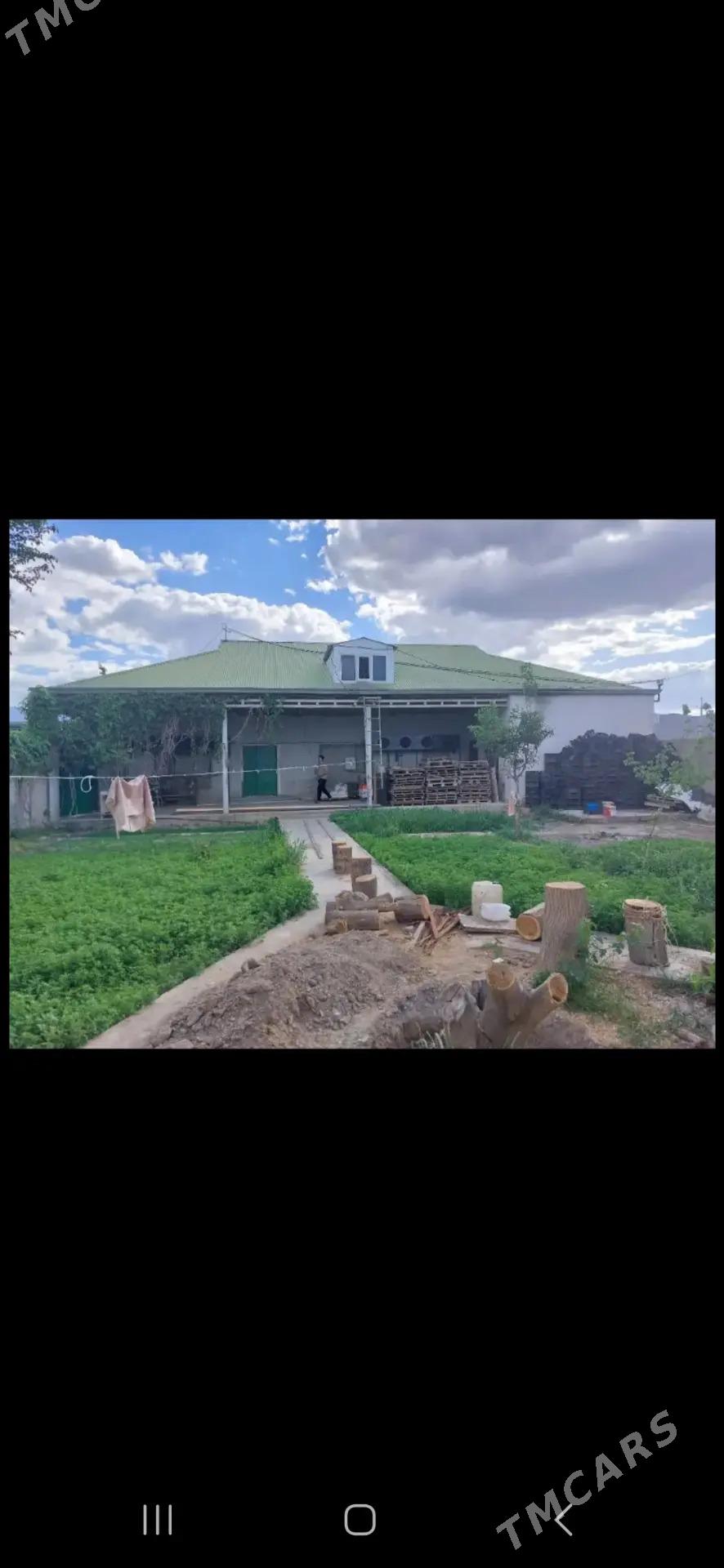 satlyk bagyr plan howly - Aşgabat - img 1