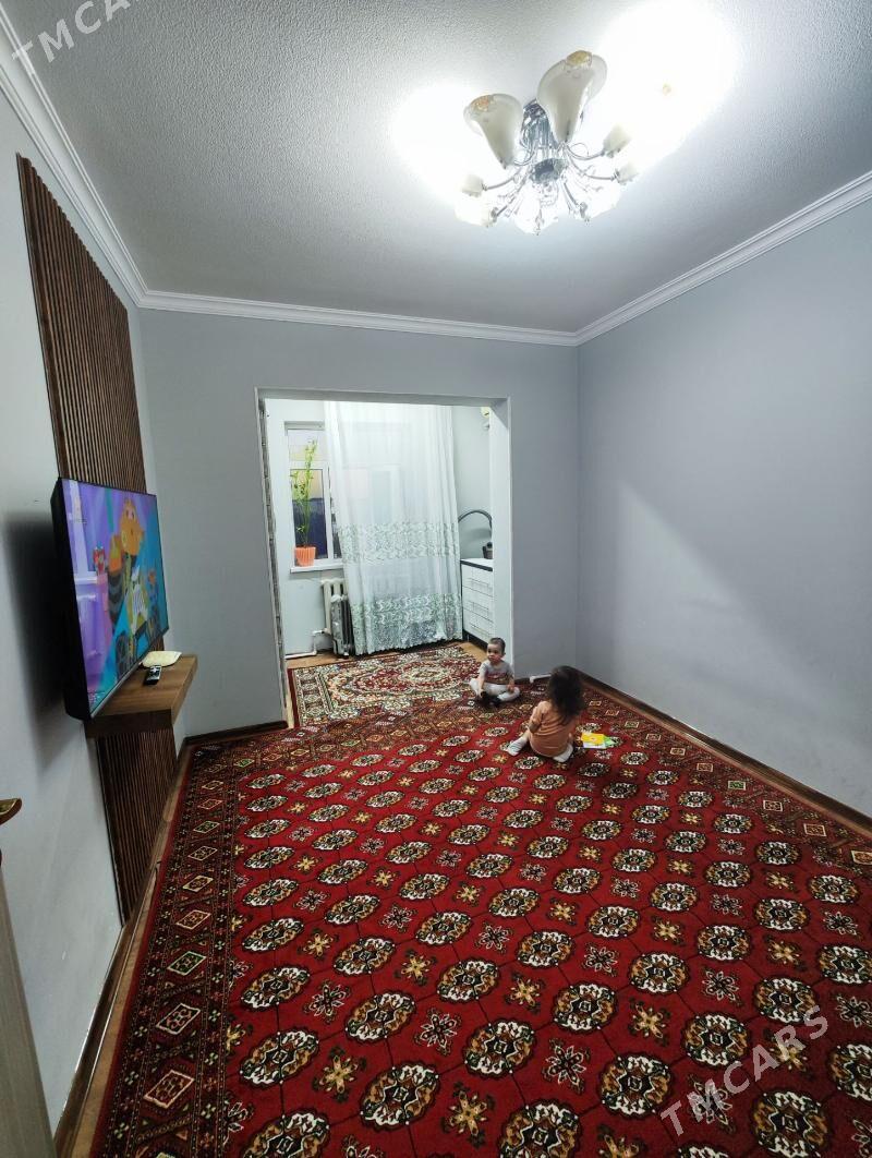 Satlyk jay  - Mary - img 5