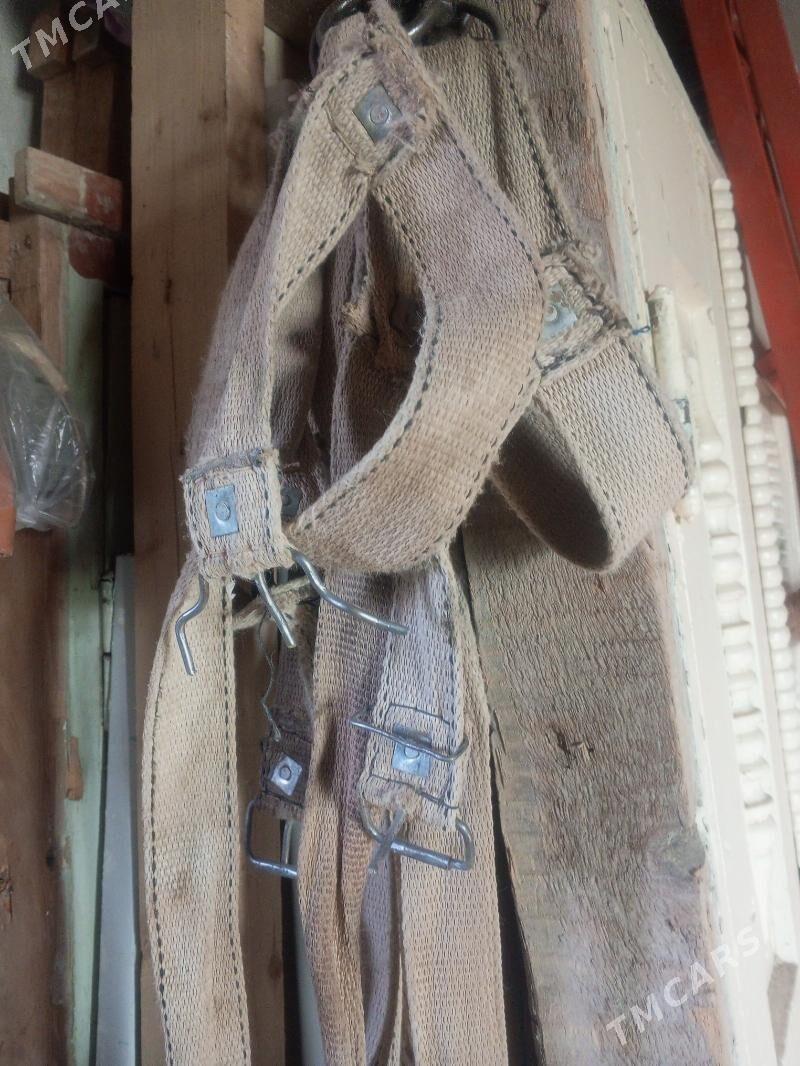 NOGTA ULY MAL ÇÇIN - Дашогуз - img 2