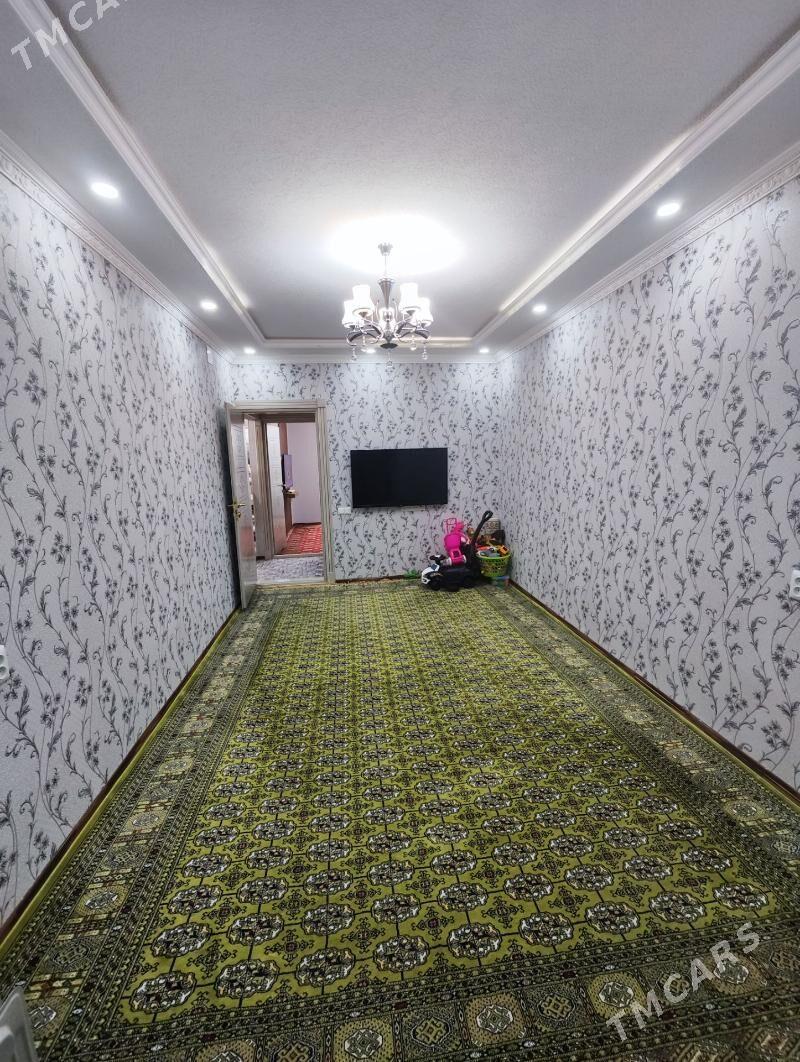 Satlyk jay - Mary - img 1