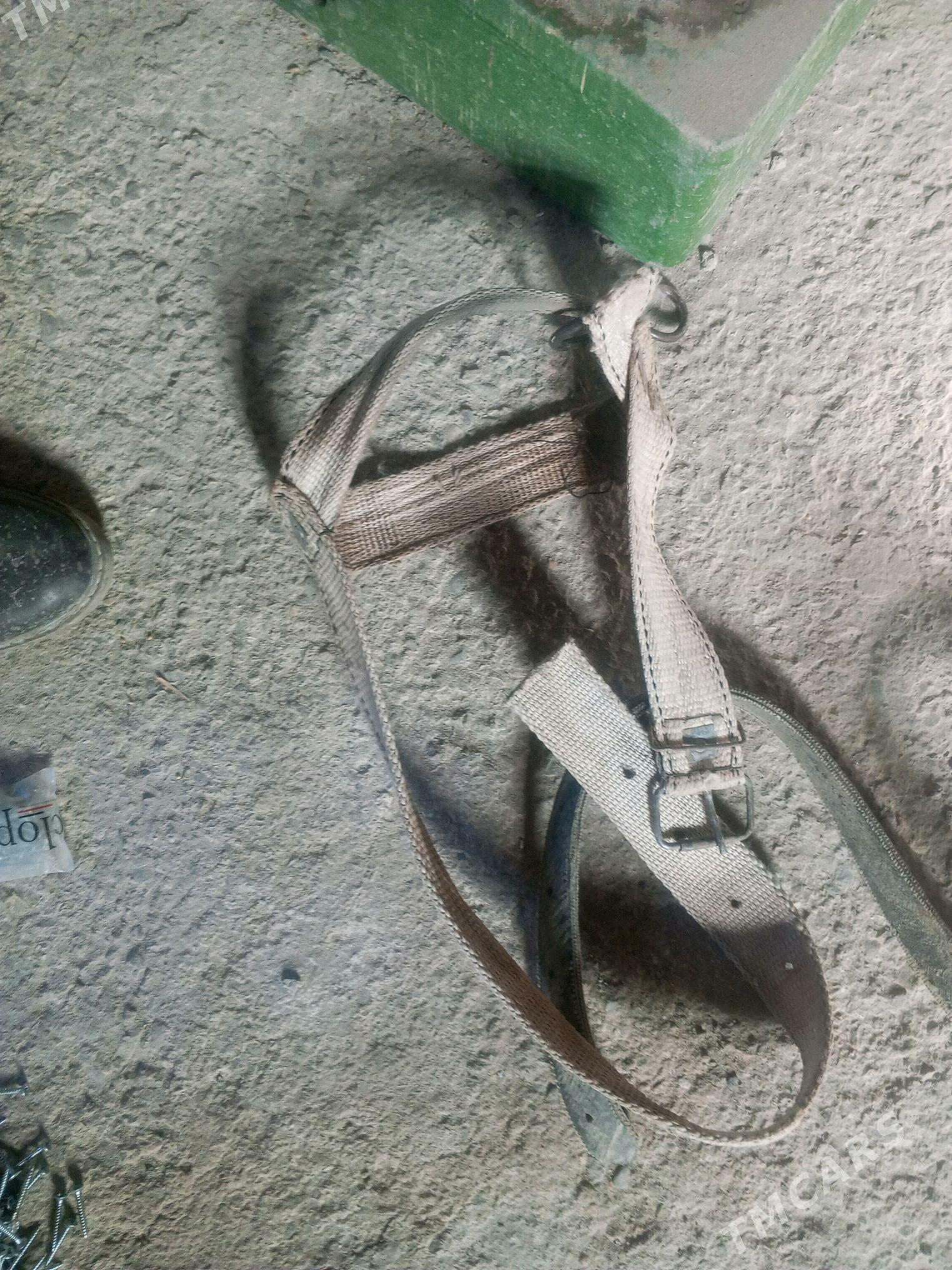 NOGTA ULY MAL ÇÇIN - Дашогуз - img 1