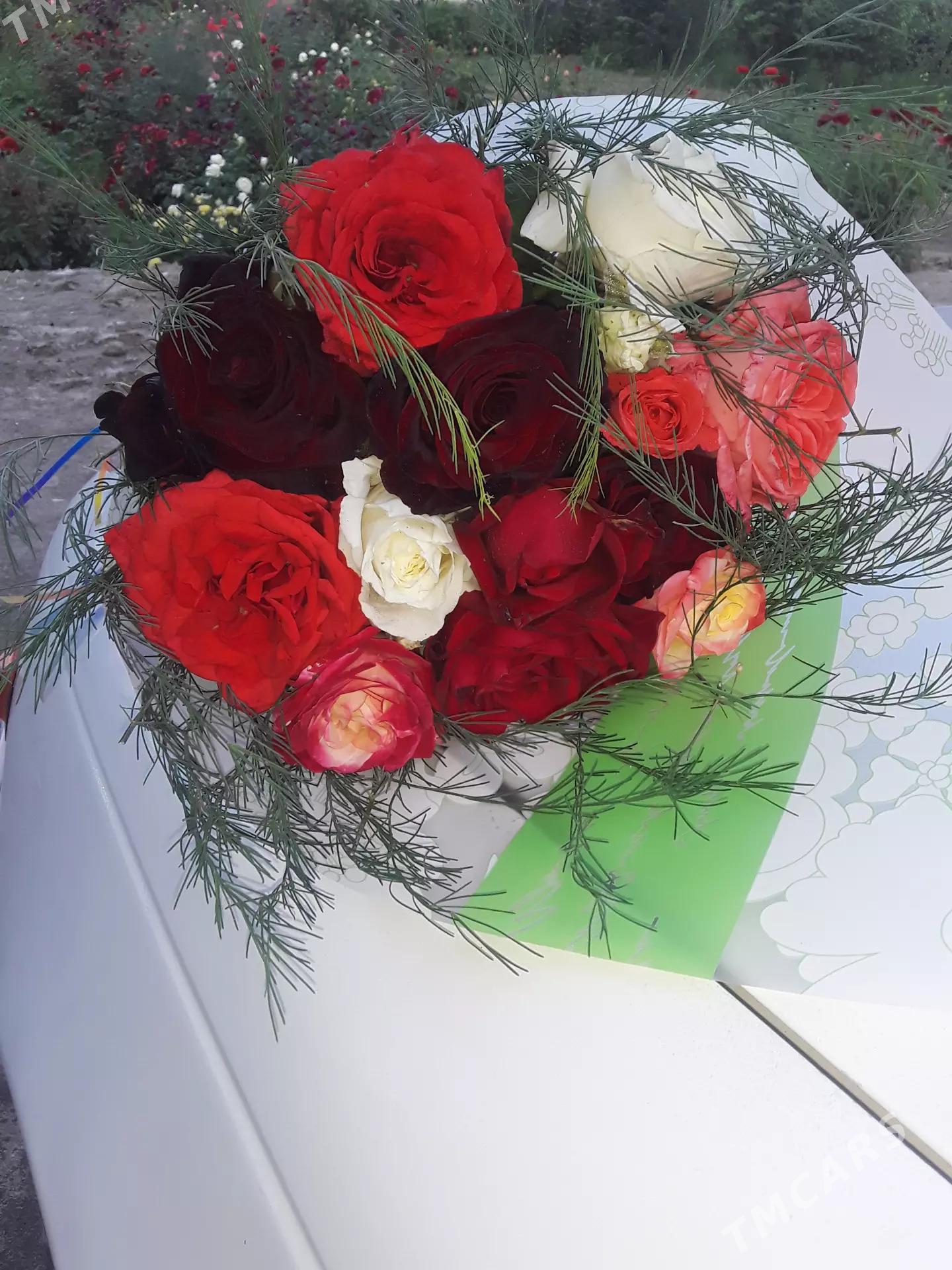 dasary guller - Mary - img 2