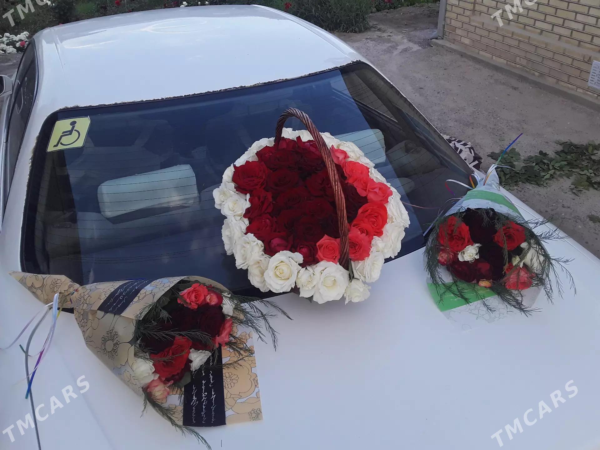 dasary guller - Mary - img 3