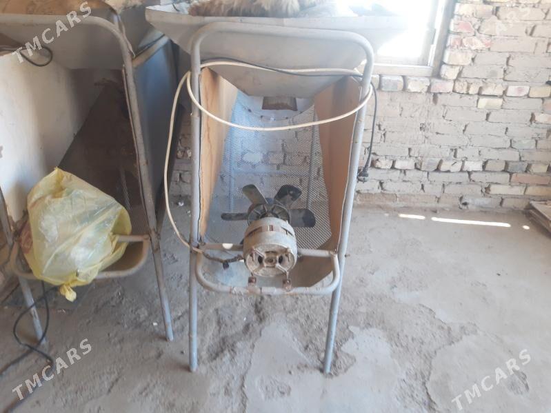 Тохум согурйан апрат - Baýramaly - img 2