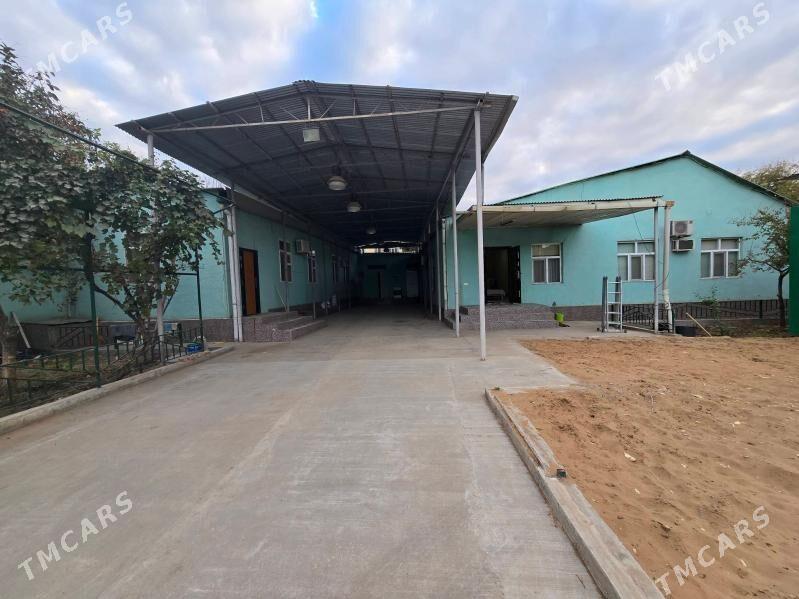 Sentyr 10 sotok  Akaltyn - Aşgabat - img 3