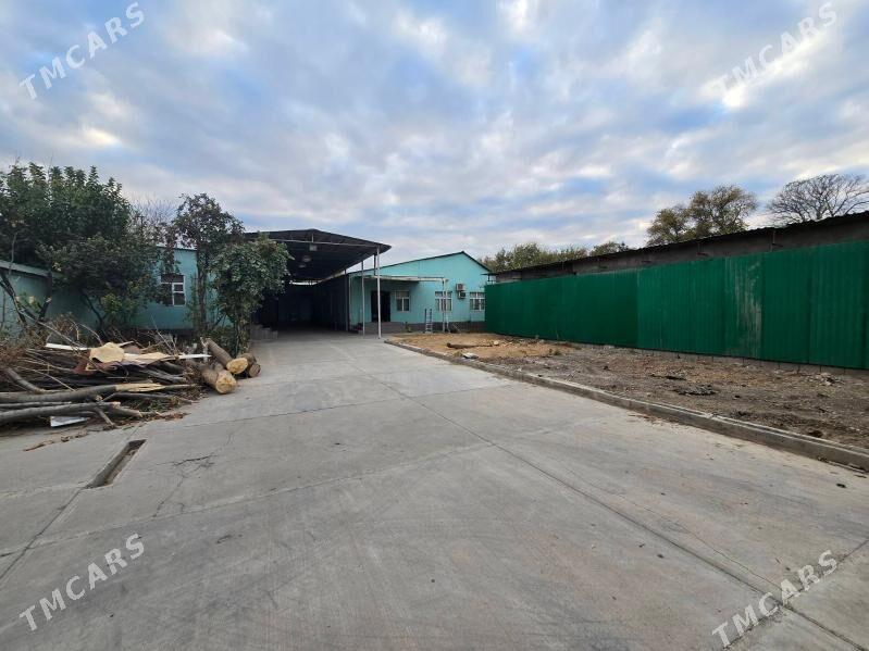 Sentyr 10 sotok  Akaltyn - Aşgabat - img 2