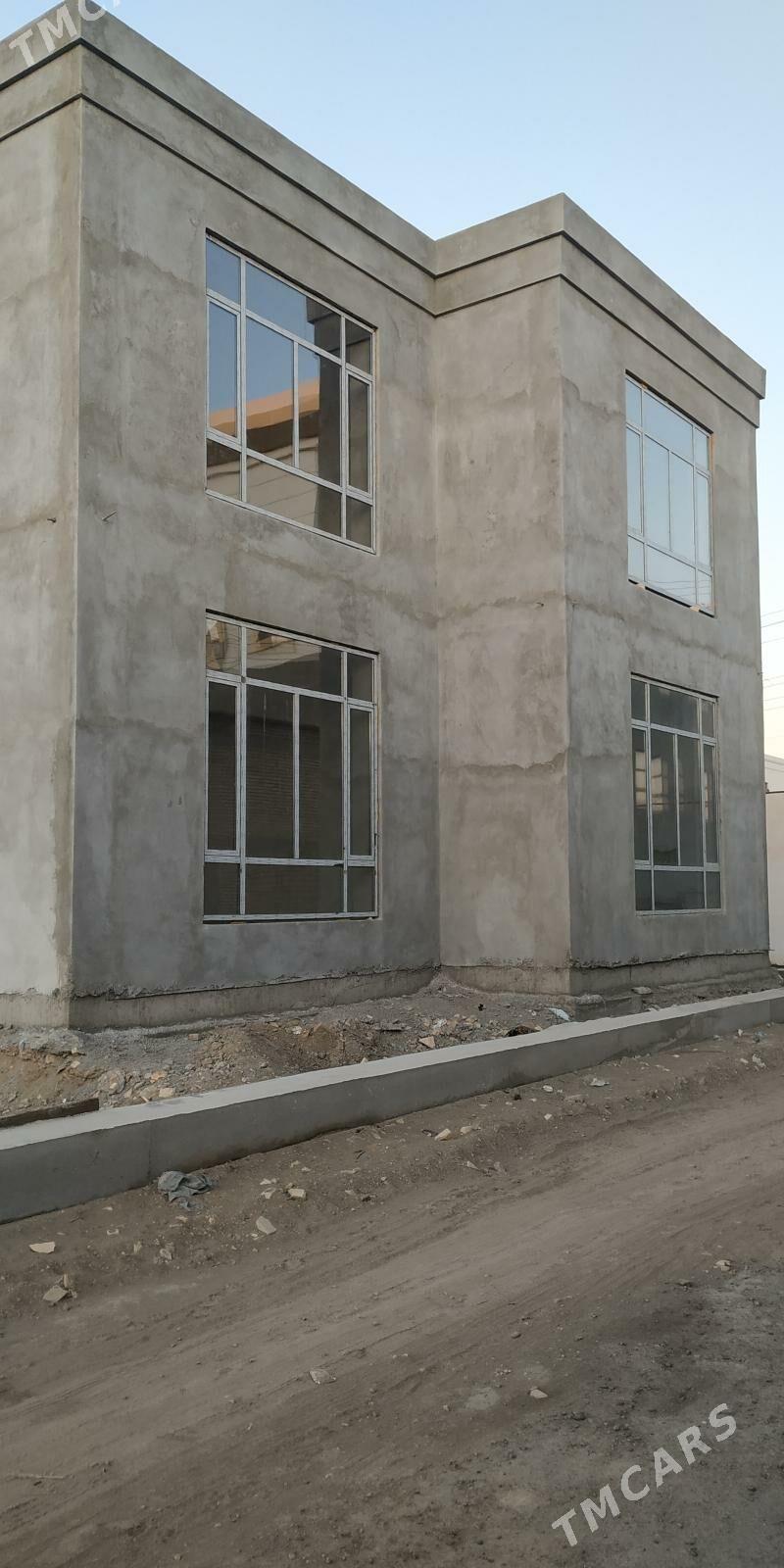 kotej jay - Туркменабат - img 2