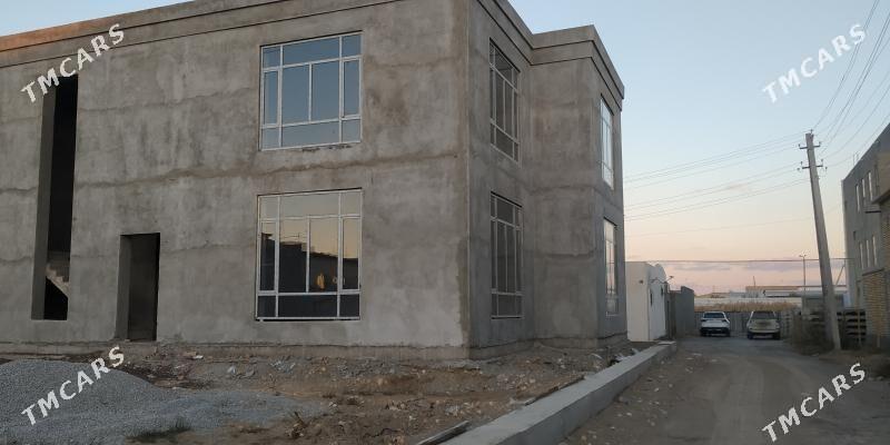 kotej jay - Туркменабат - img 3