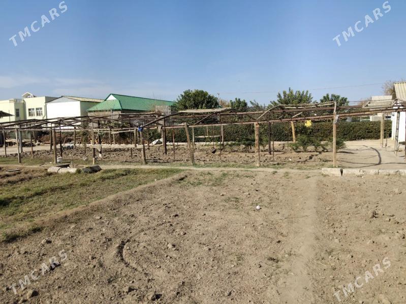 Parnik - Кипджак - img 2