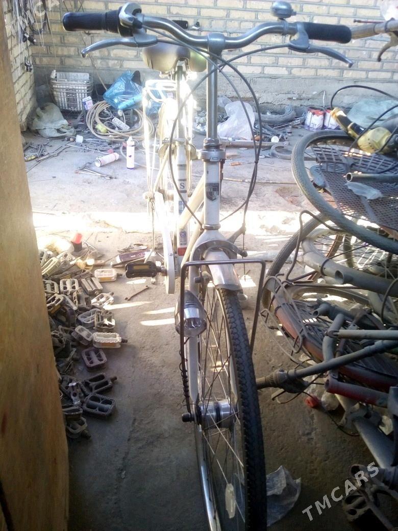 welik - Mary - img 2