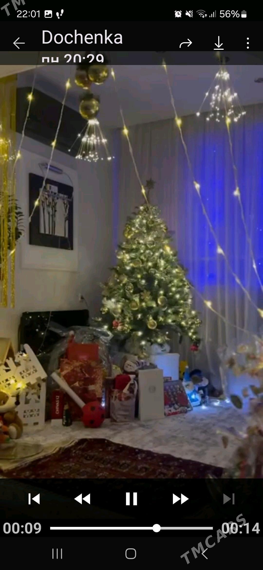 Ёлка - Aşgabat - img 2