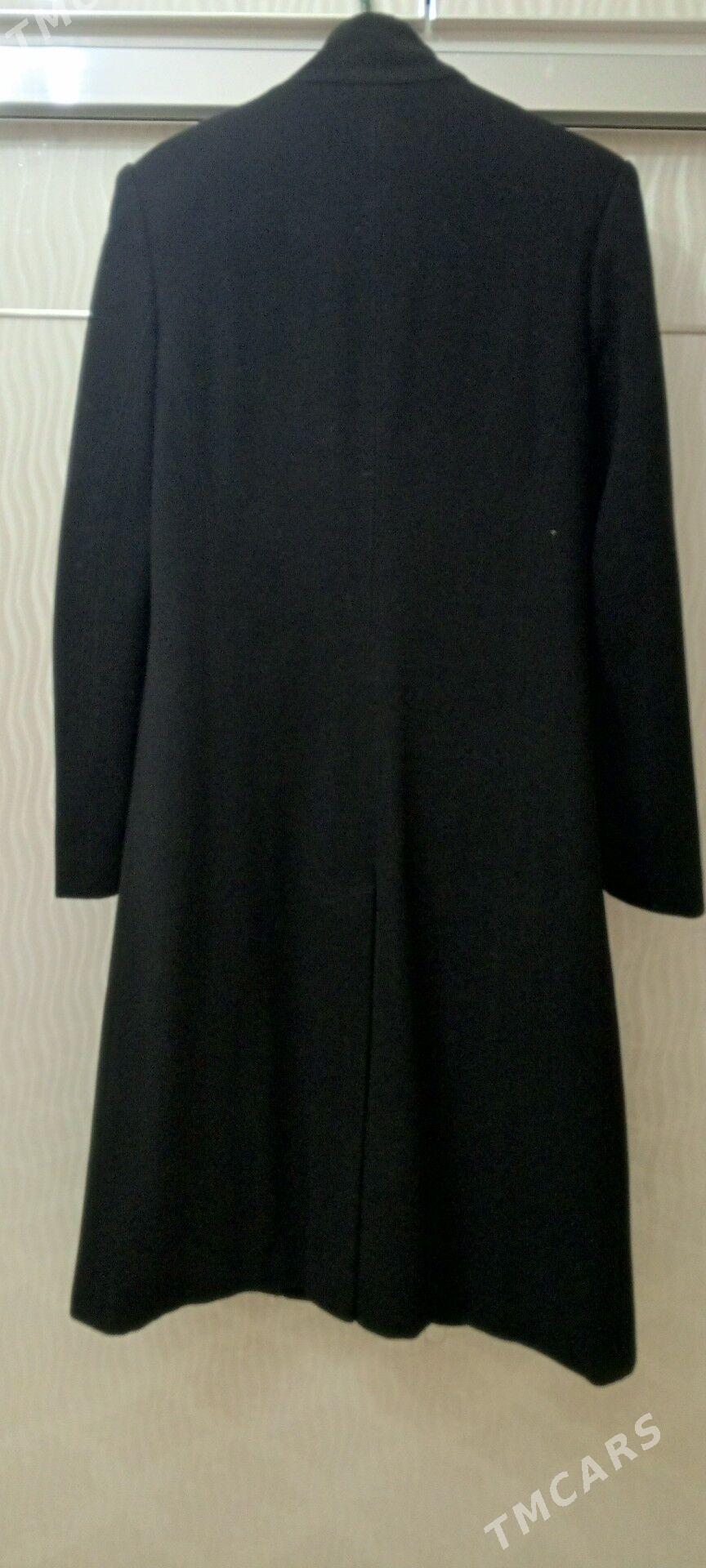 Palto - Мир 7 - img 2