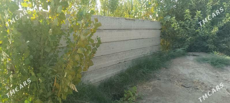 Plita - Дарганата - img 3