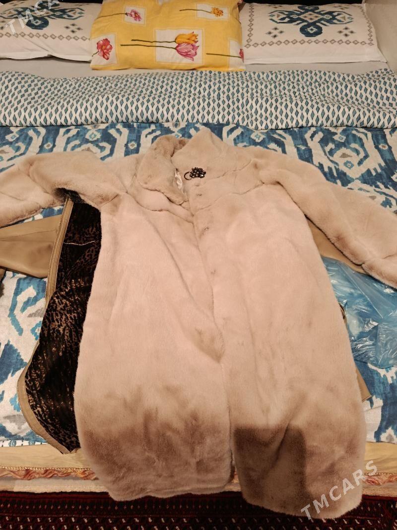 şuba - Мир 4 - img 2