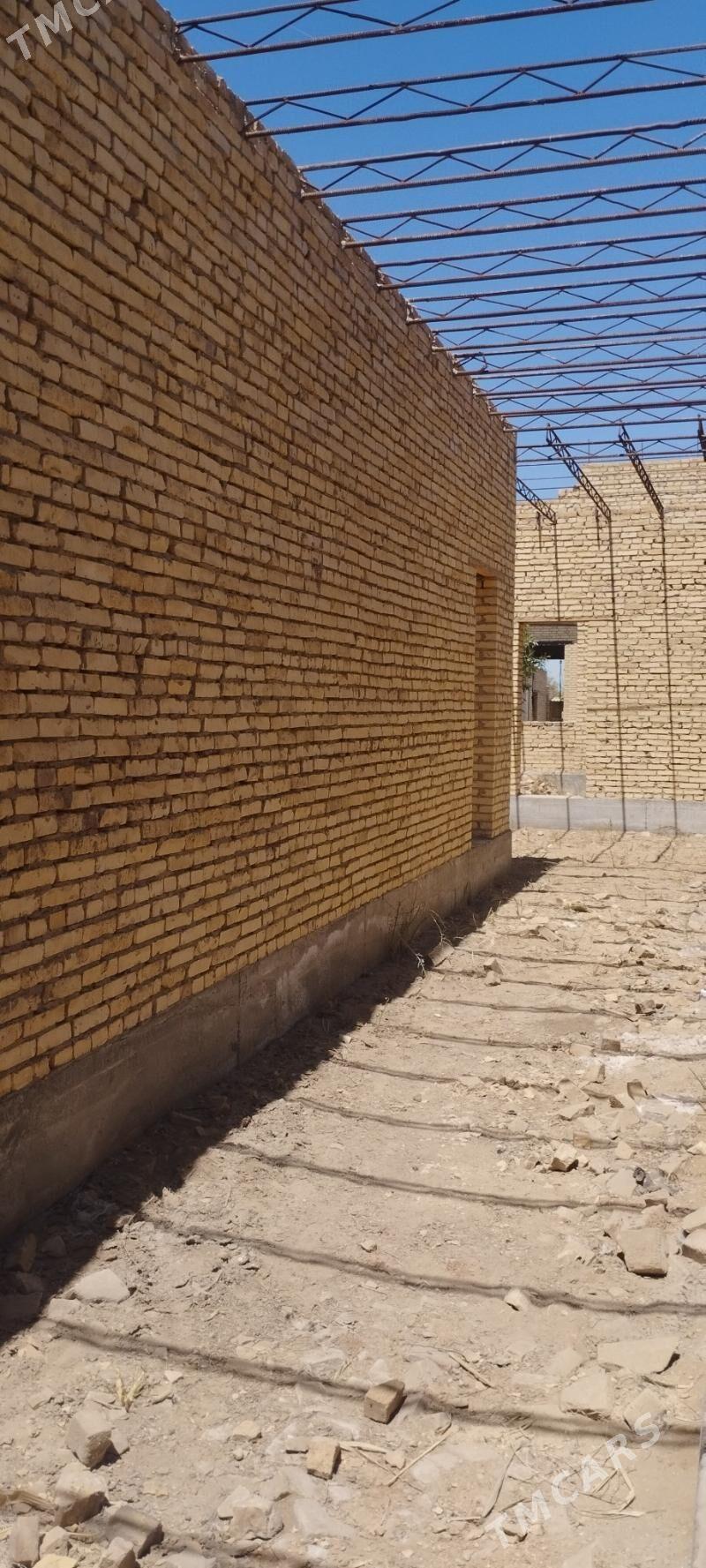 jay - Dänew - img 3