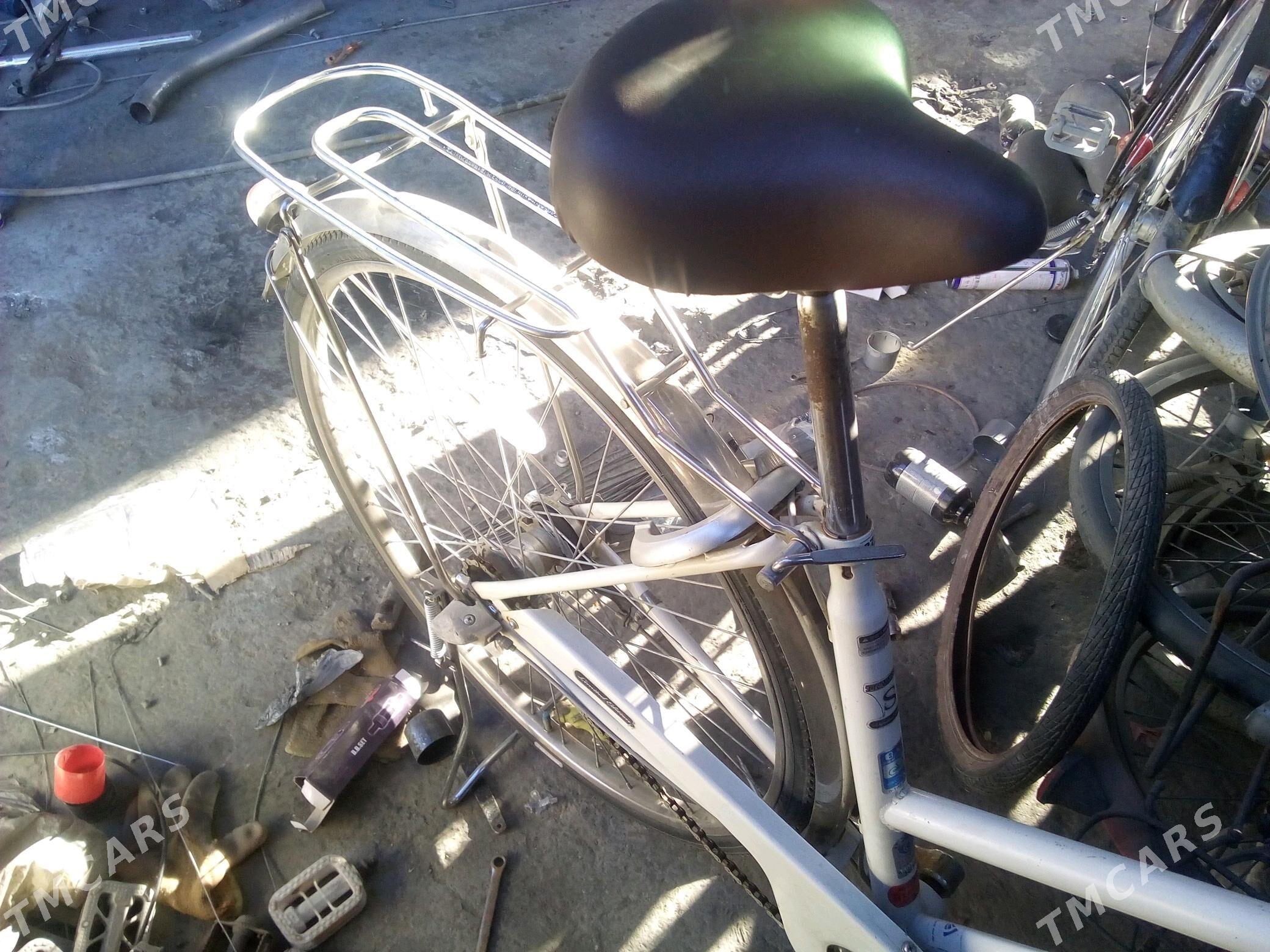 welik - Mary - img 3