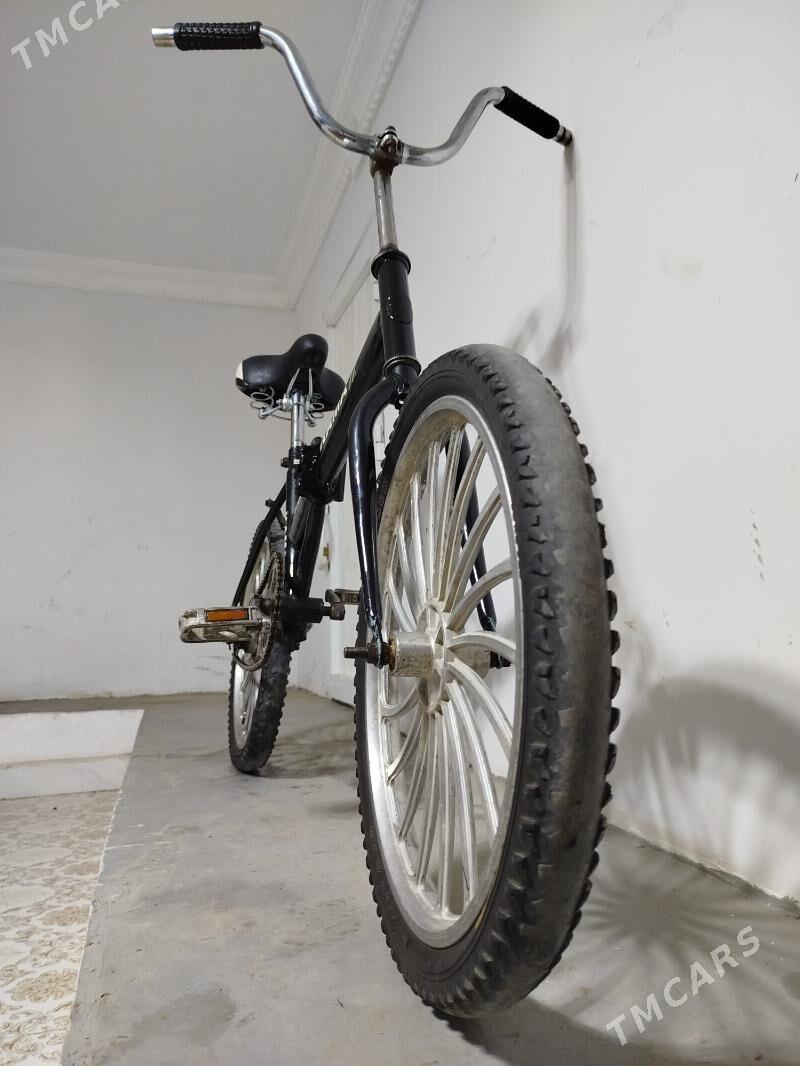 tigir kama - Balkanabat - img 3