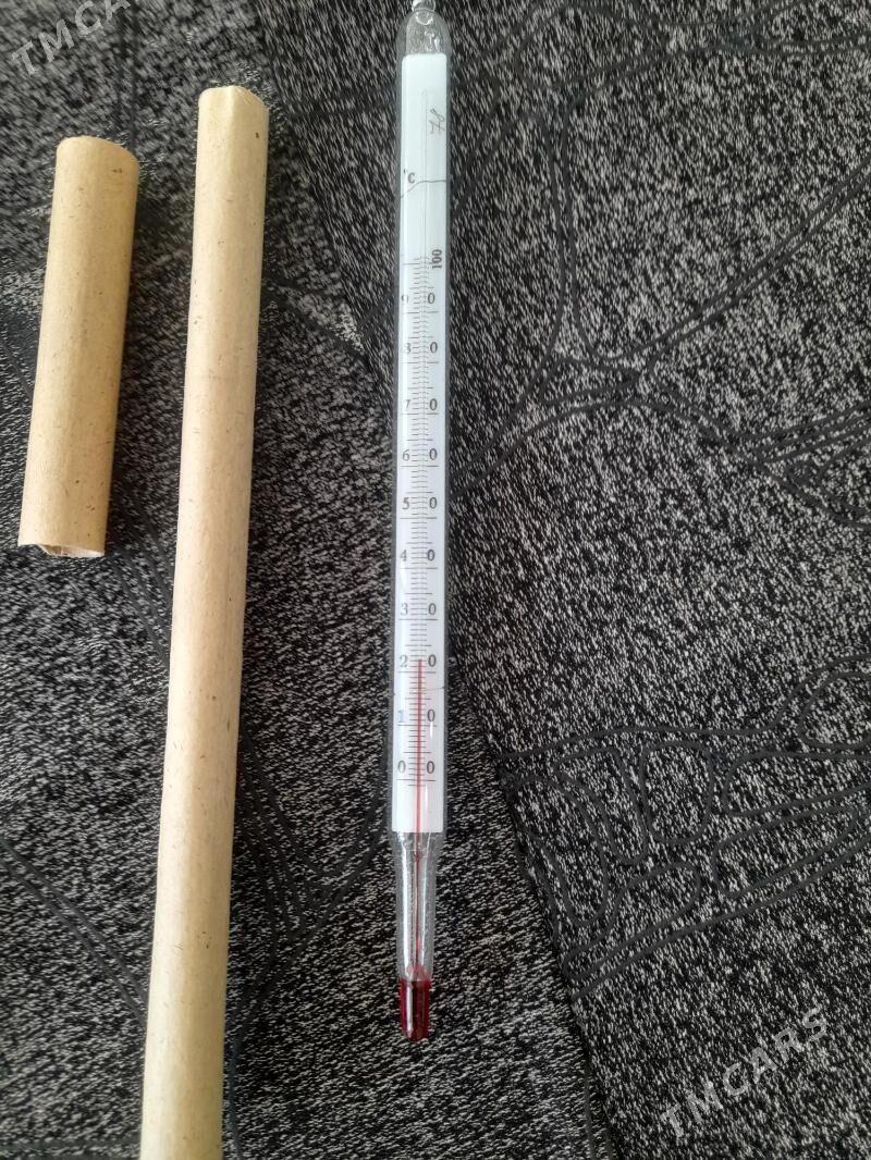 ГРАДУСНИК - Mary - img 2