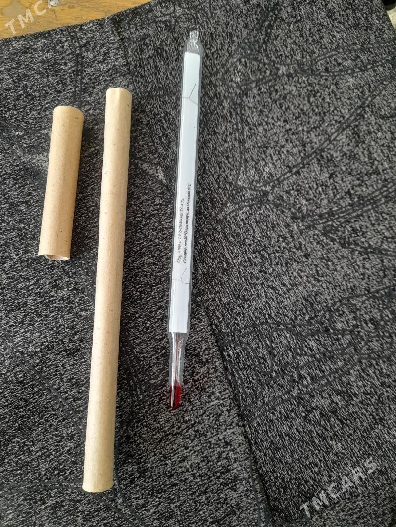 ГРАДУСНИК - Mary - img 3