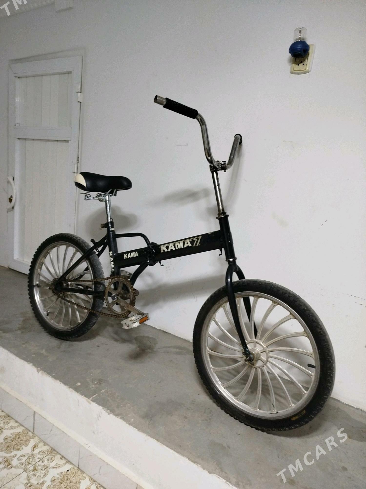 tigir kama - Balkanabat - img 2