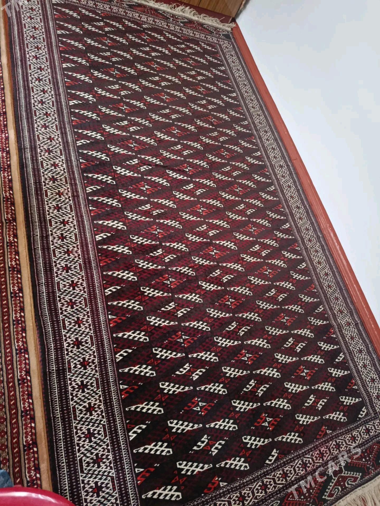 El haly - Tejen - img 3