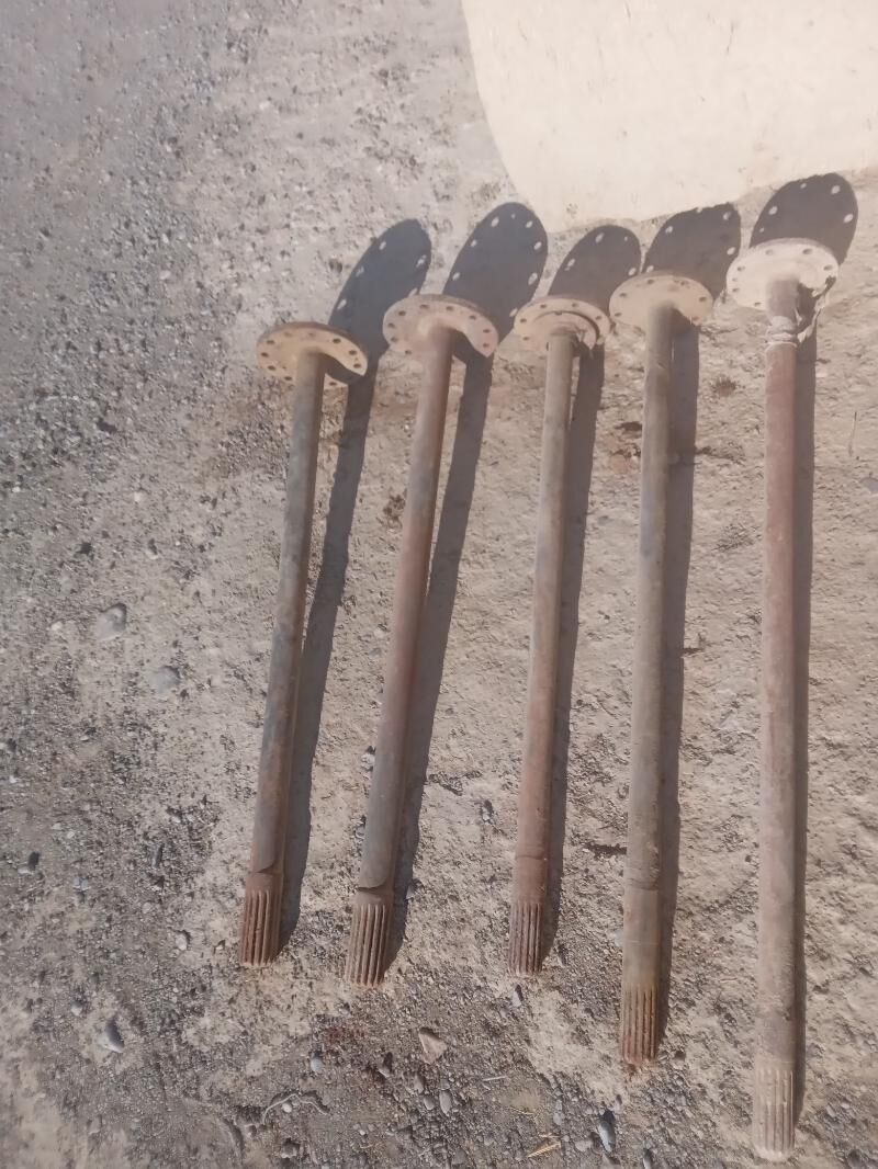 zil palowos 1 000 TMT - Бахарден - img 1