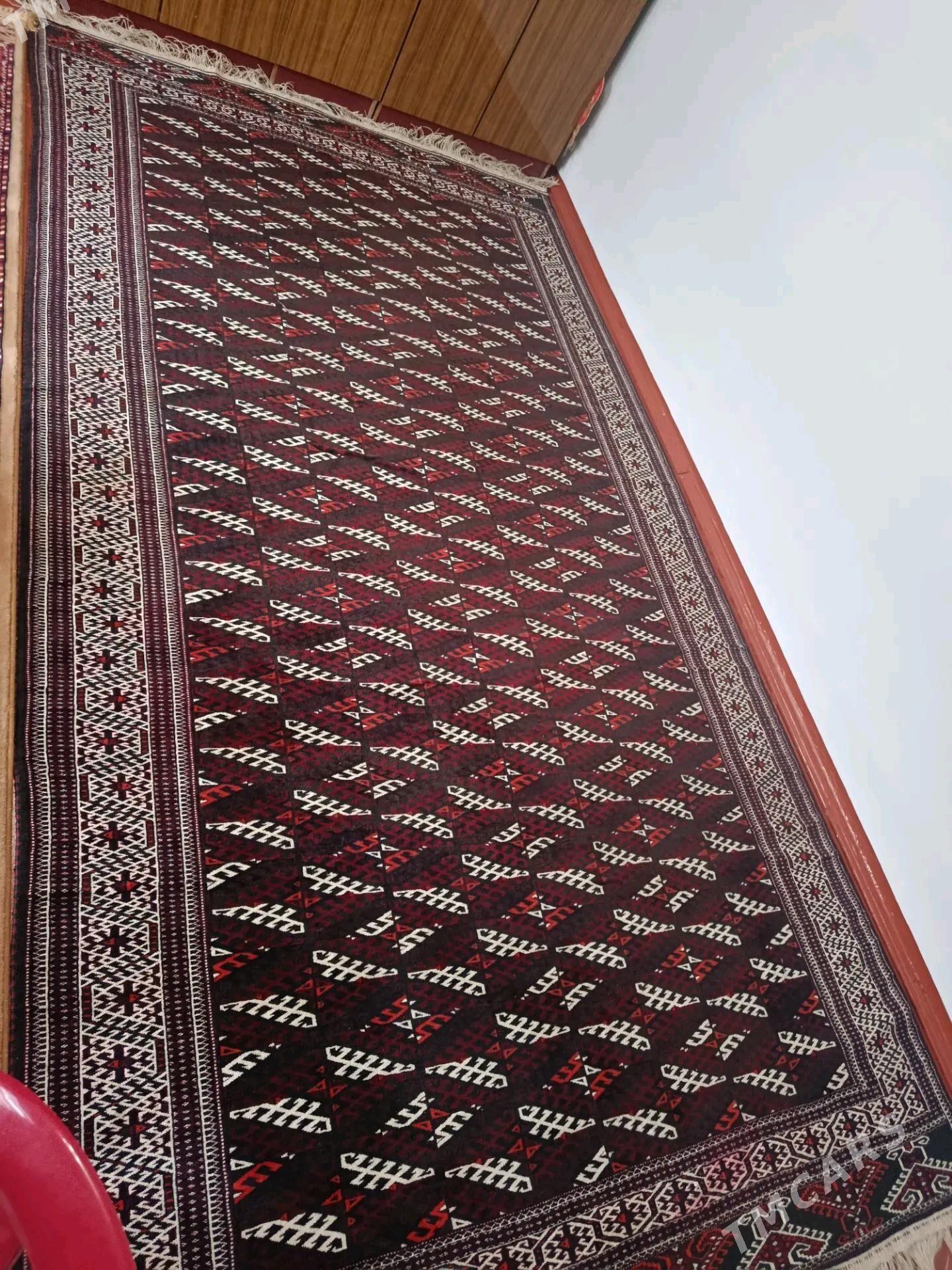 El haly - Tejen - img 2