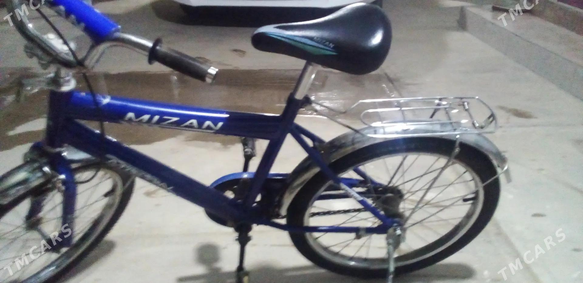 TigirTigirTigir - Анев - img 2