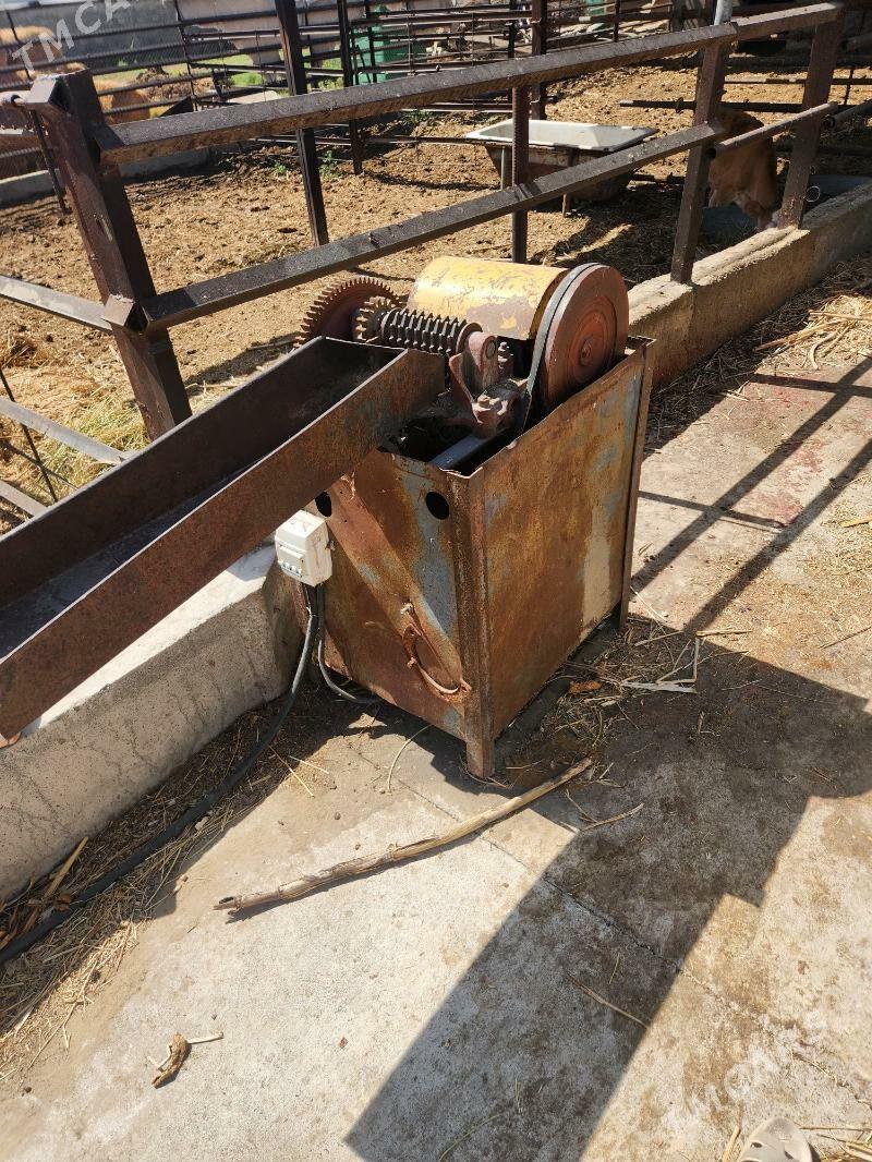 ot uweýan stanok - Büzmeýin - img 3