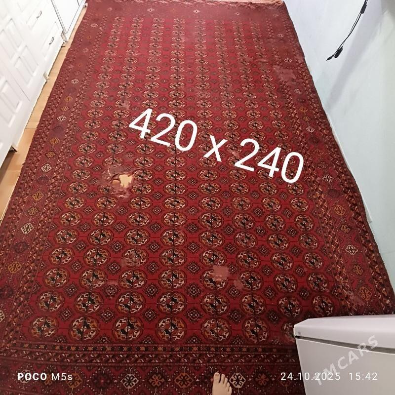 haly - Büzmeýin - img 1