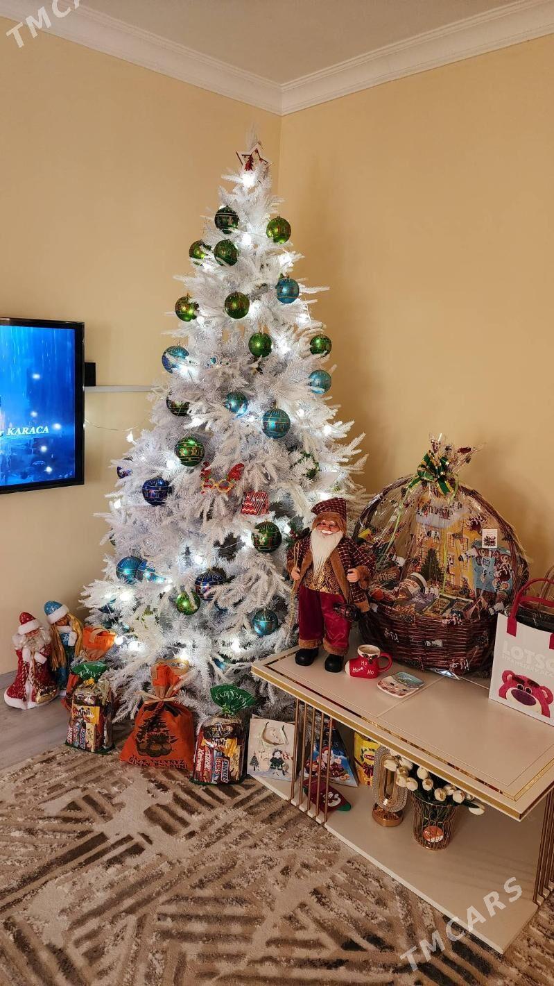 Yolka Tazeyyl Ёлка Grilyanda - Ашхабад - img 2