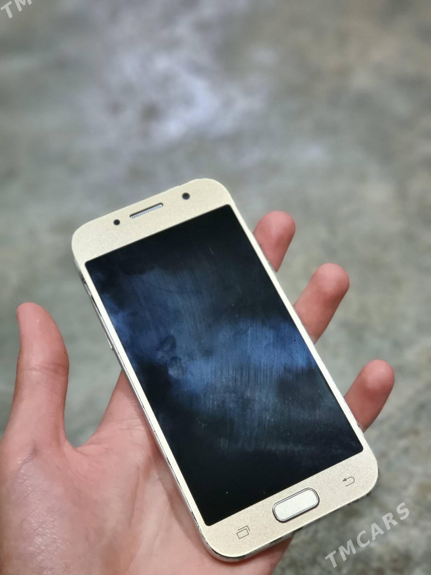 a3 2017  - Mary - img 3