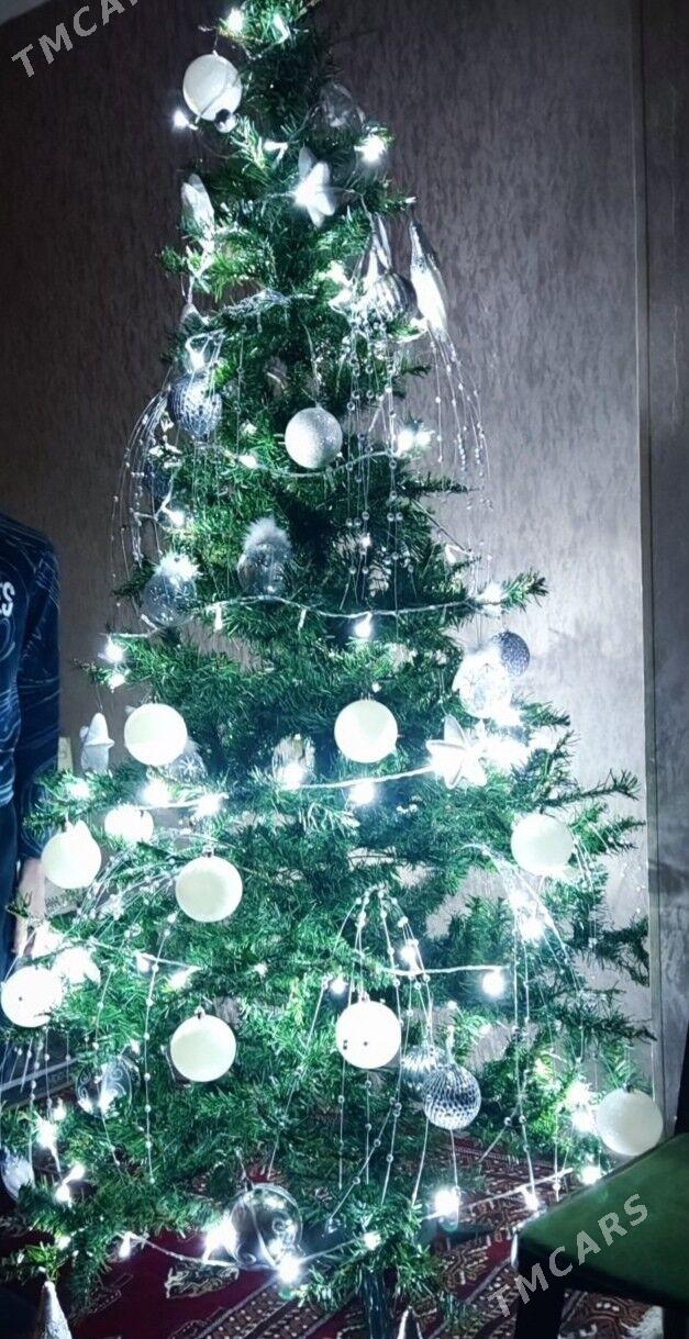 ЁЛКА - Aşgabat - img 3