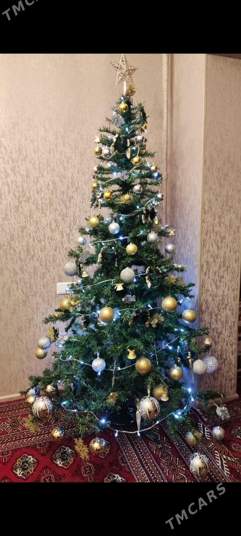 ЁЛКА - Aşgabat - img 2